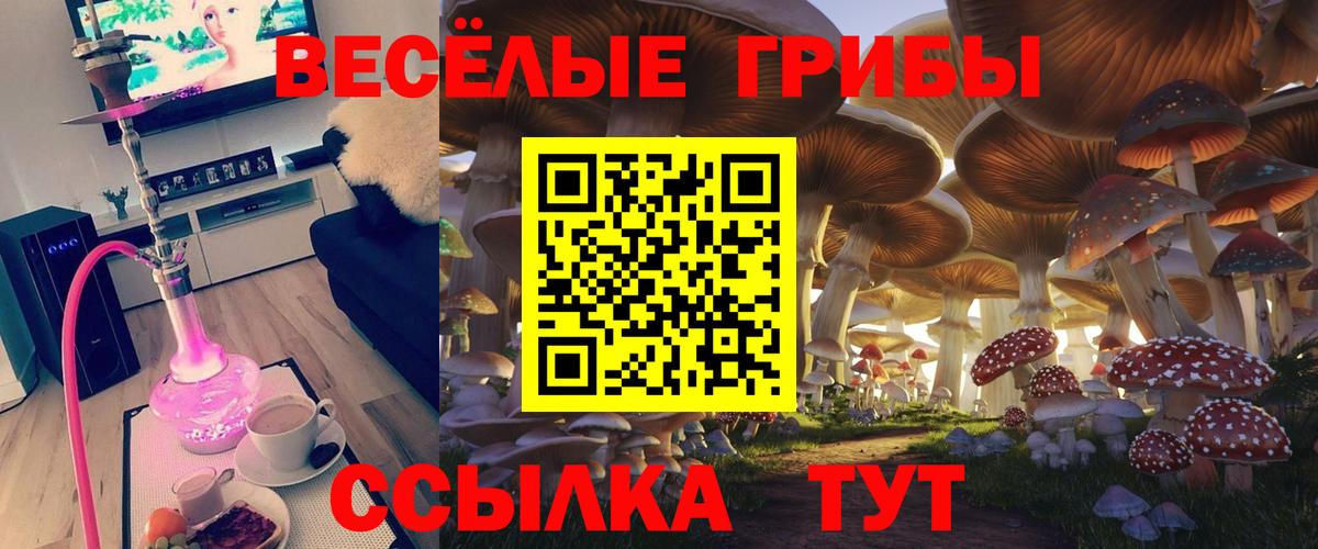 Псилоцибиновые грибы мухоморы  Псилоцибиновые грибы GOLDEN TEACHER  Вход с VPN  Кувандык 