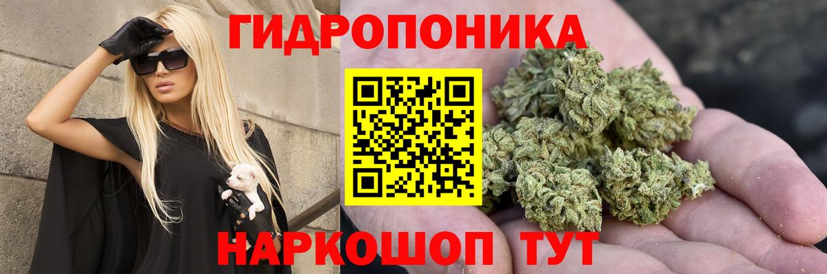 МАРИХУАНА планчик  Бошки Шишки THC 21%  Кувандык  Вход с VPN  Марихуана VHQ  Каннабис OG Kush 